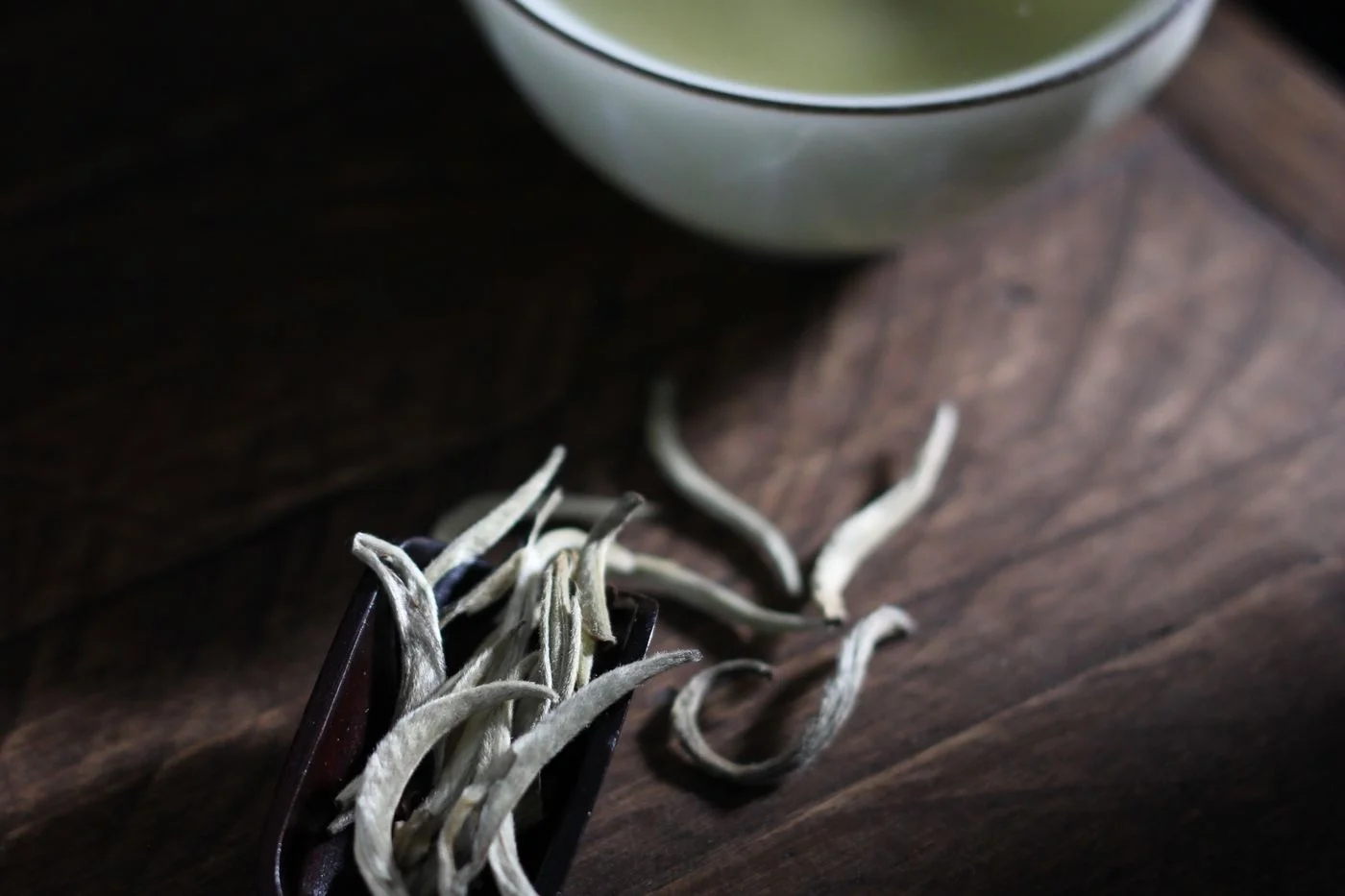 木板上藝術排列的白茶芽葉與一杯茶湯，呼應白毫銀針滿披白毫的芽頭 | White tea buds and leaves artfully arranged on a wooden board with a cup, echoing the downy buds of silver needle