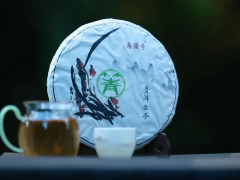 歲月留香:古樹普洱茶的乾倉儲存指南